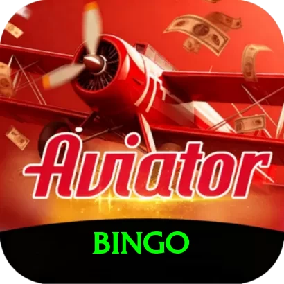 bingo Casino Mega v3.5.1 - 2