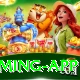 Casino App Pakistan Supreme Gaming App